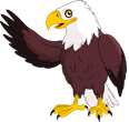 Illustration of a bald eagle with brown body and white head, standing