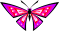 Stylized butterfly with pink and purple wings