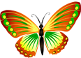 Stylized butterfly with green and yellow wings