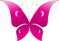 Pink butterfly logo on dark background