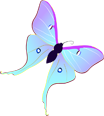 Stylized butterfly with light blue wings and dark accents