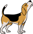 Illustration of a beagle howling