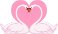 Two white swans forming a heart with their necks, pink background