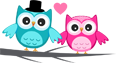 Two cartoon owls, one teal and one pink, peeking over a gray surface