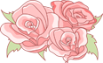 Illustration of pink roses on a red background