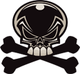 Punisher skull logo on a black background