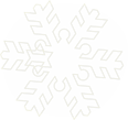 Snowflake design element on gray background