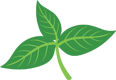 A stylized green plant graphic against a green background