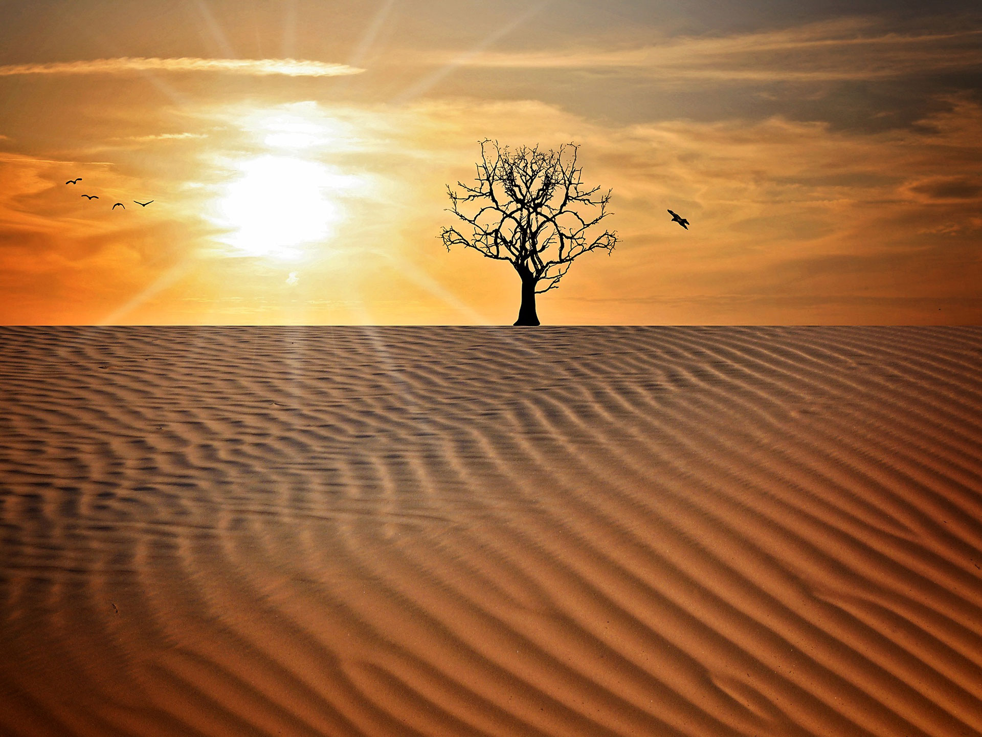 Preview for Desert-landscape-at-sunset-3d-artwork-background-7ff6d