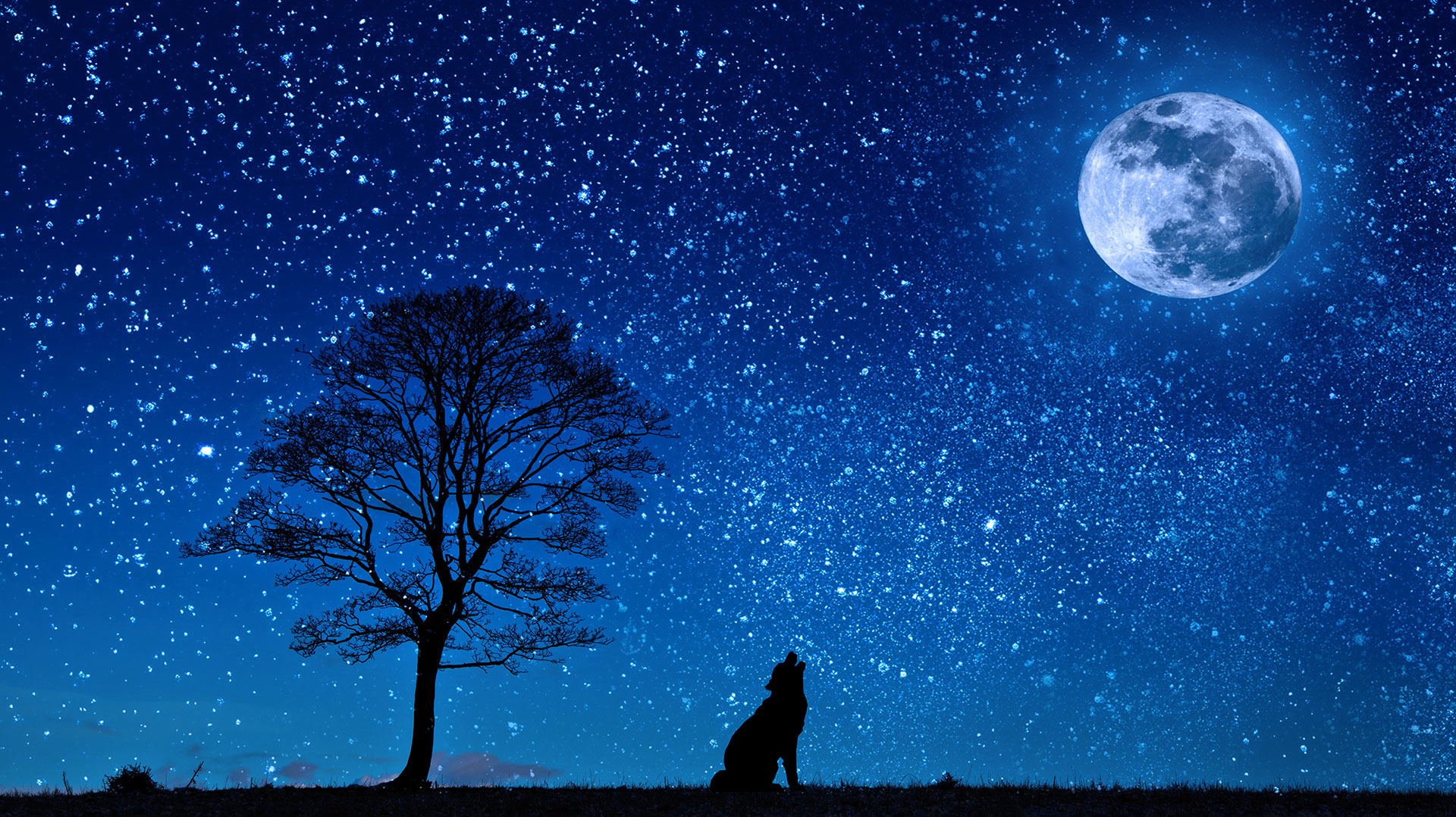 Preview for Lone-figure-under-starry-night-sky-3d-artwork-background-8ecf0