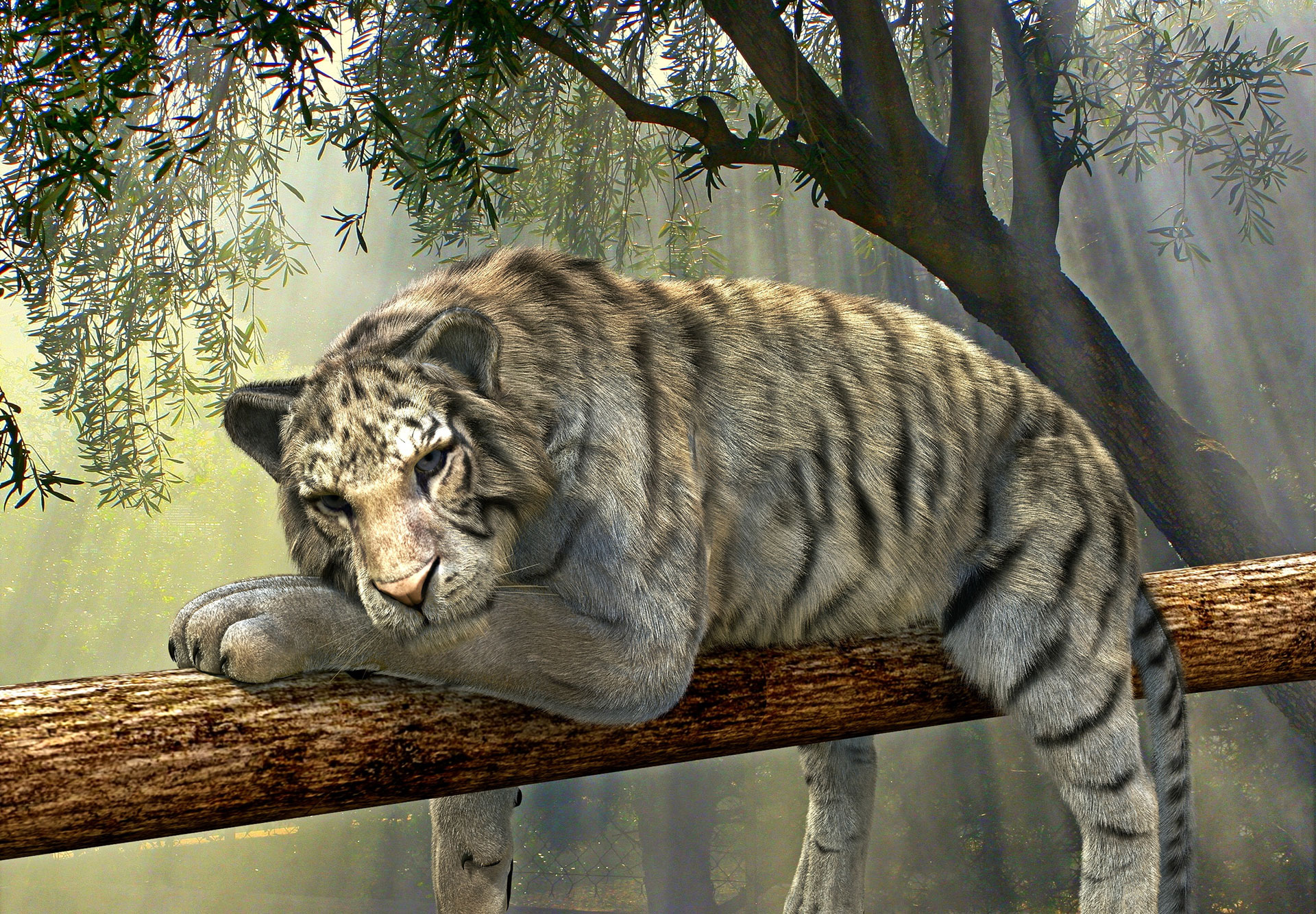 Preview for Snow-leopard-tree-branch-3d-artwork-background-1034d