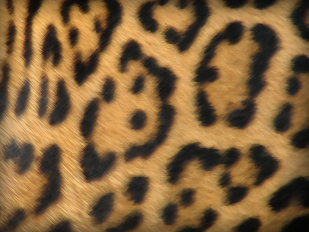Preview for Jaguar-fur-pattern-animal-background-5b32d