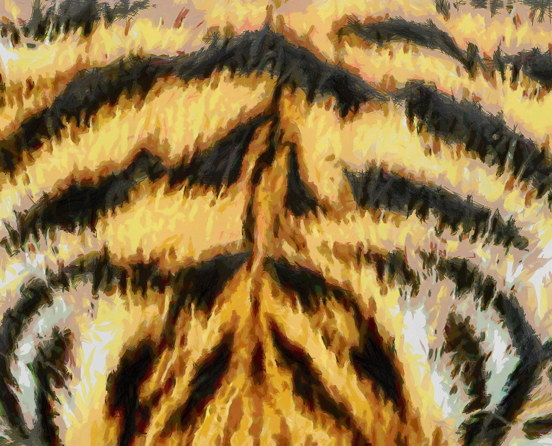 Preview for Tiger-stripes-pattern-animal-print-background-f526c