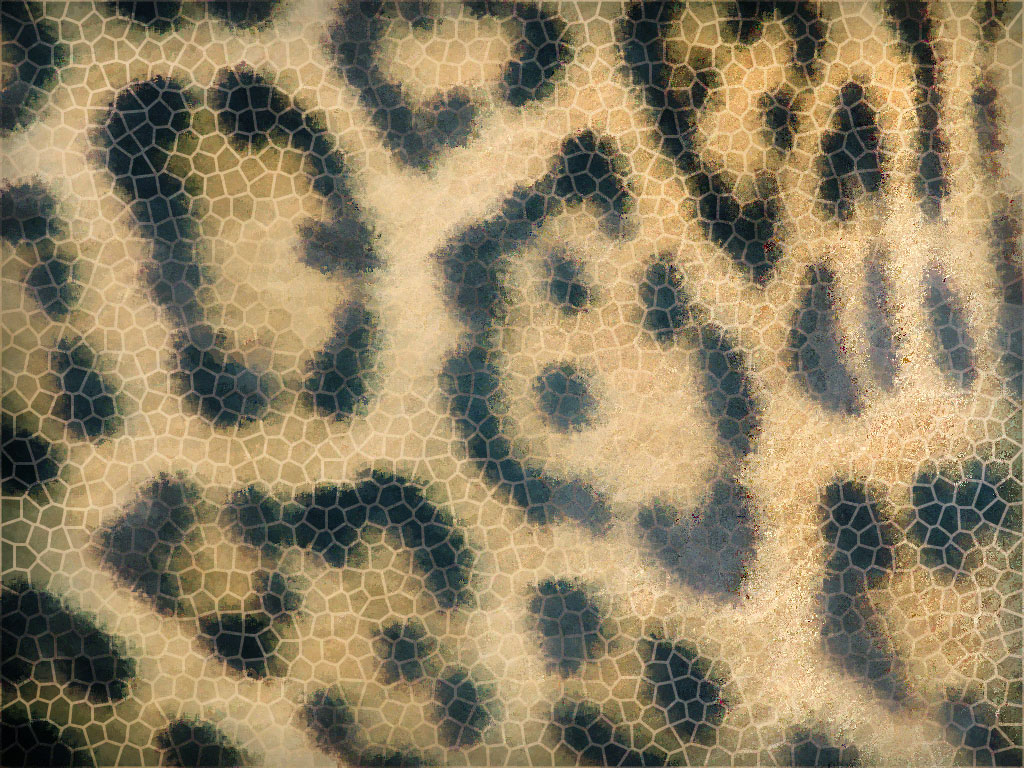 Preview for Leopard-print-fabric-pattern-animal-background-7b043