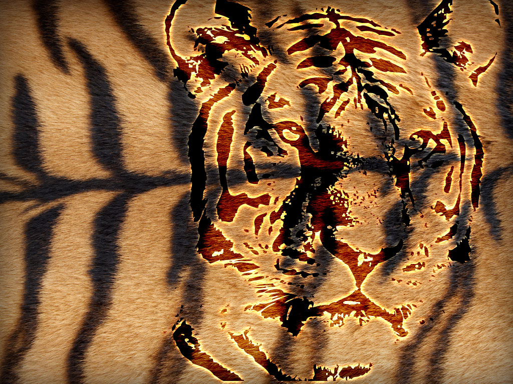 Preview for Tiger-face-closeup-animal-print-background-63311