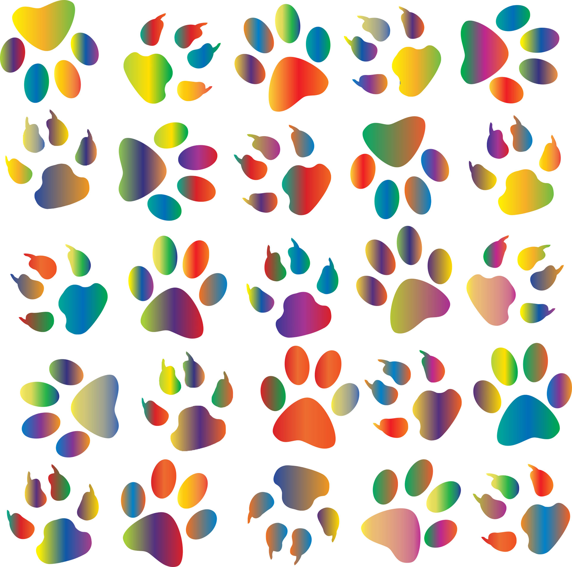 Preview for Colorful-paw-prints-pattern-animal-print-background-e5603