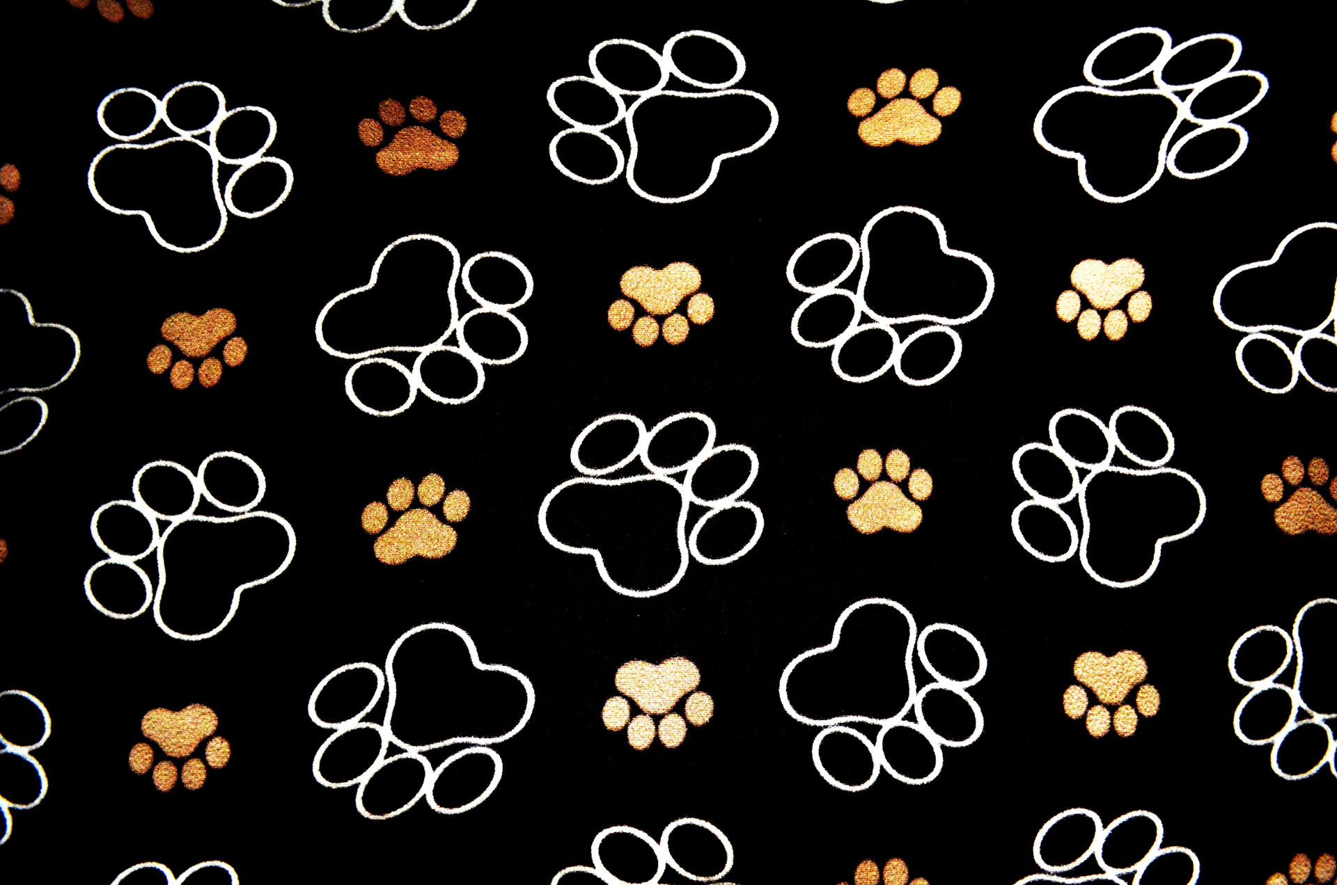Preview for Paw-print-pattern-design-animal-print-background-4594b