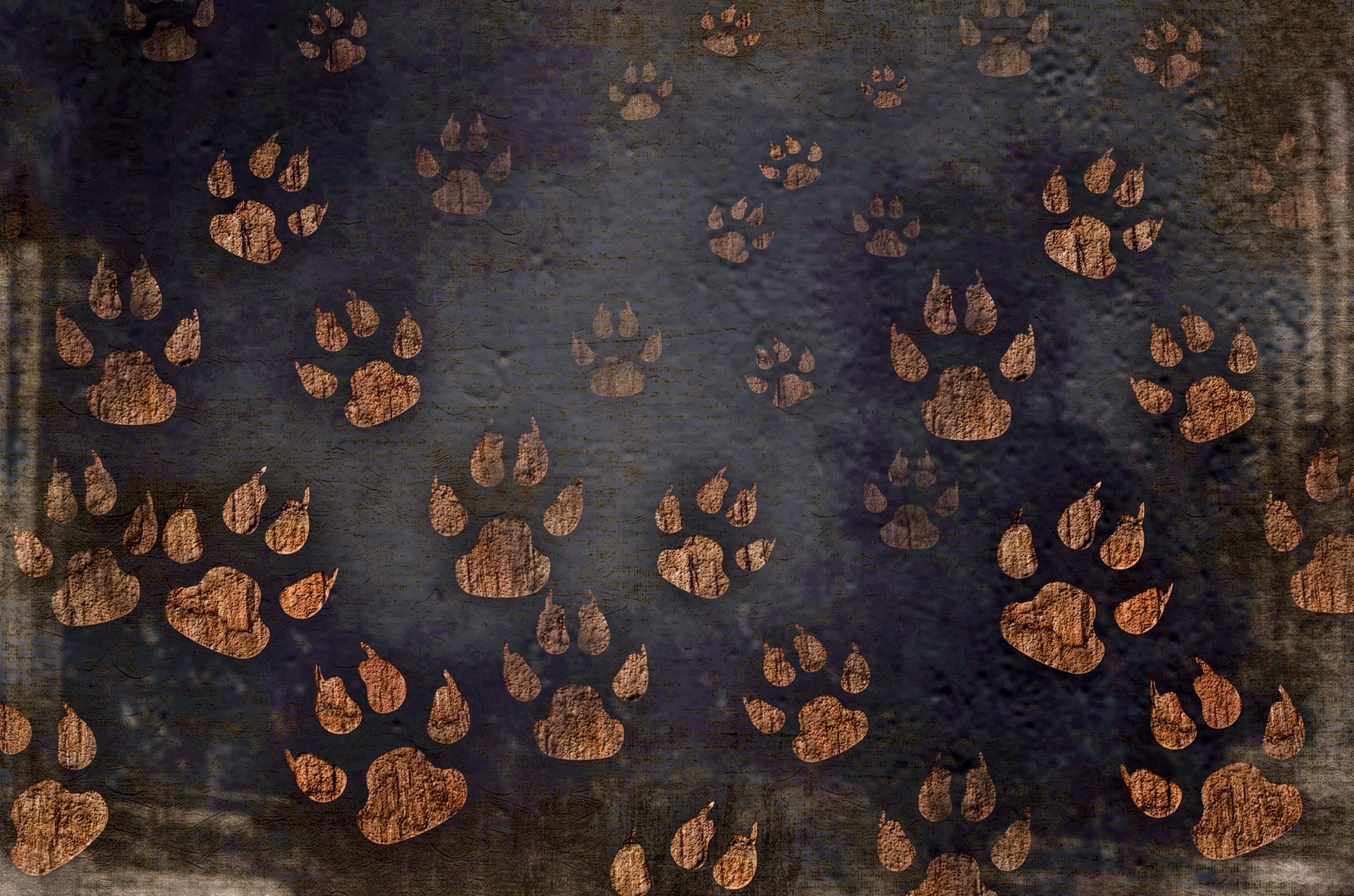 Preview for Cat-paw-prints-pattern-animal-print-background-14e10
