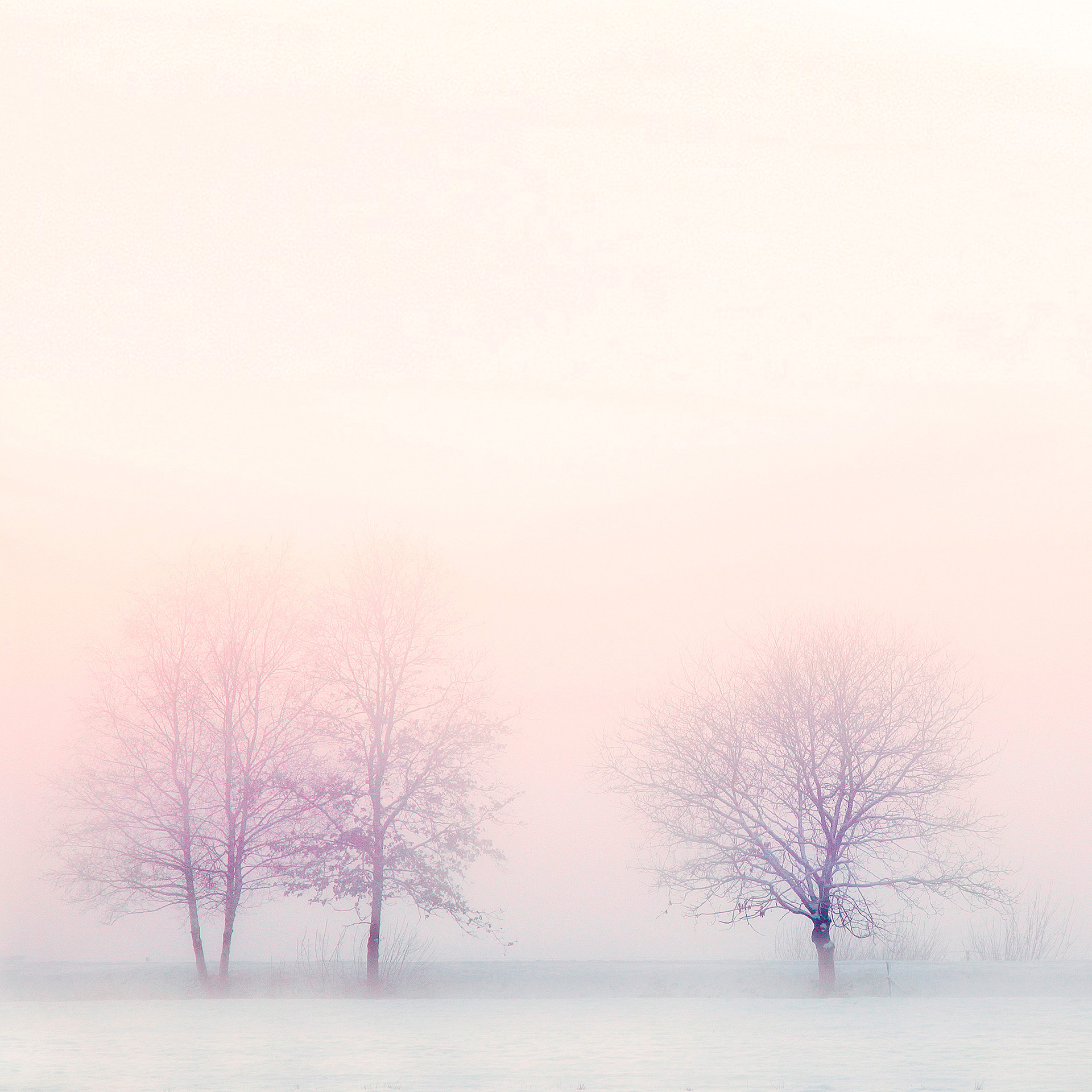Preview for Serene-winter-landscape-fog-background-1ced4