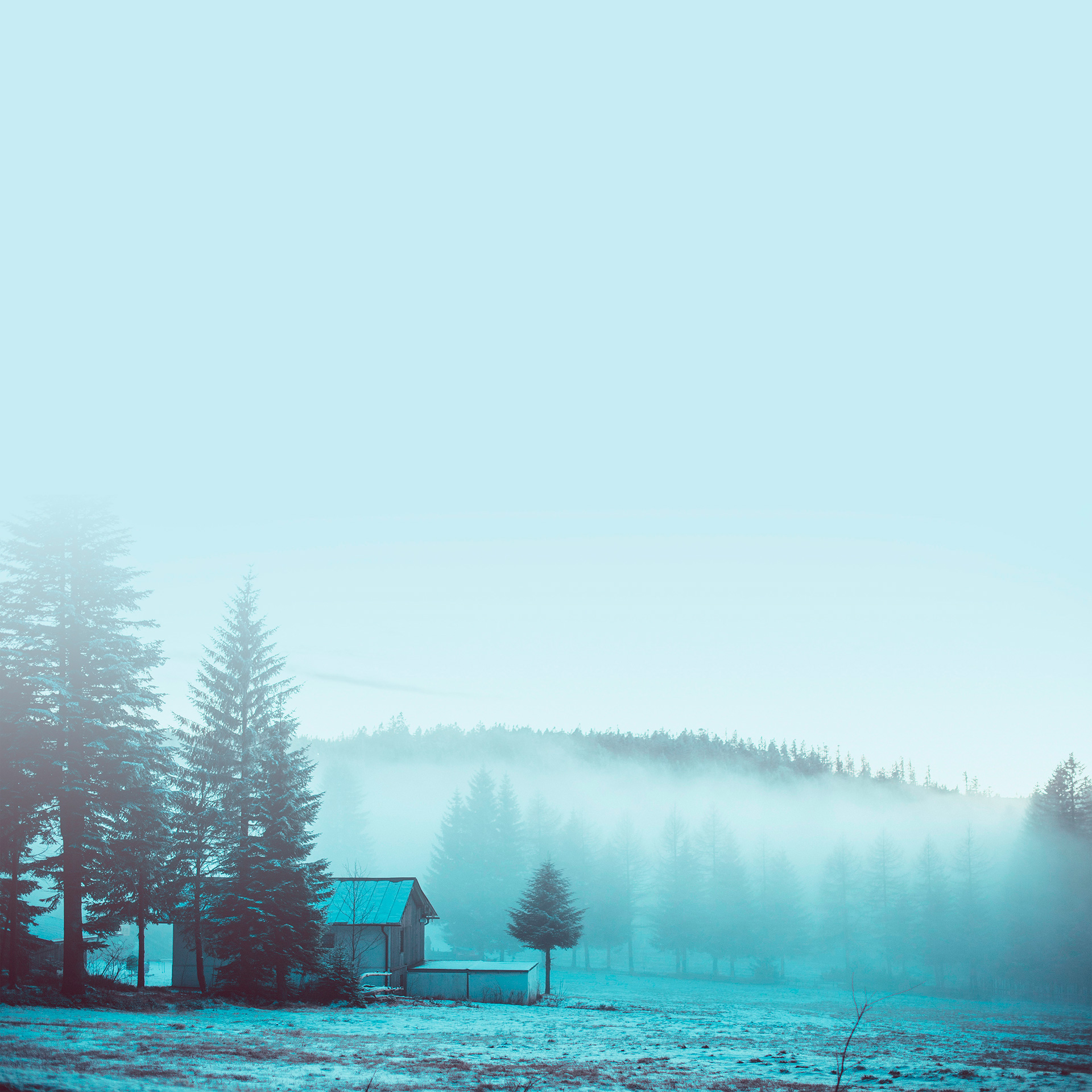 Preview for Misty-forest-cabin-landscape-building-background-b755c