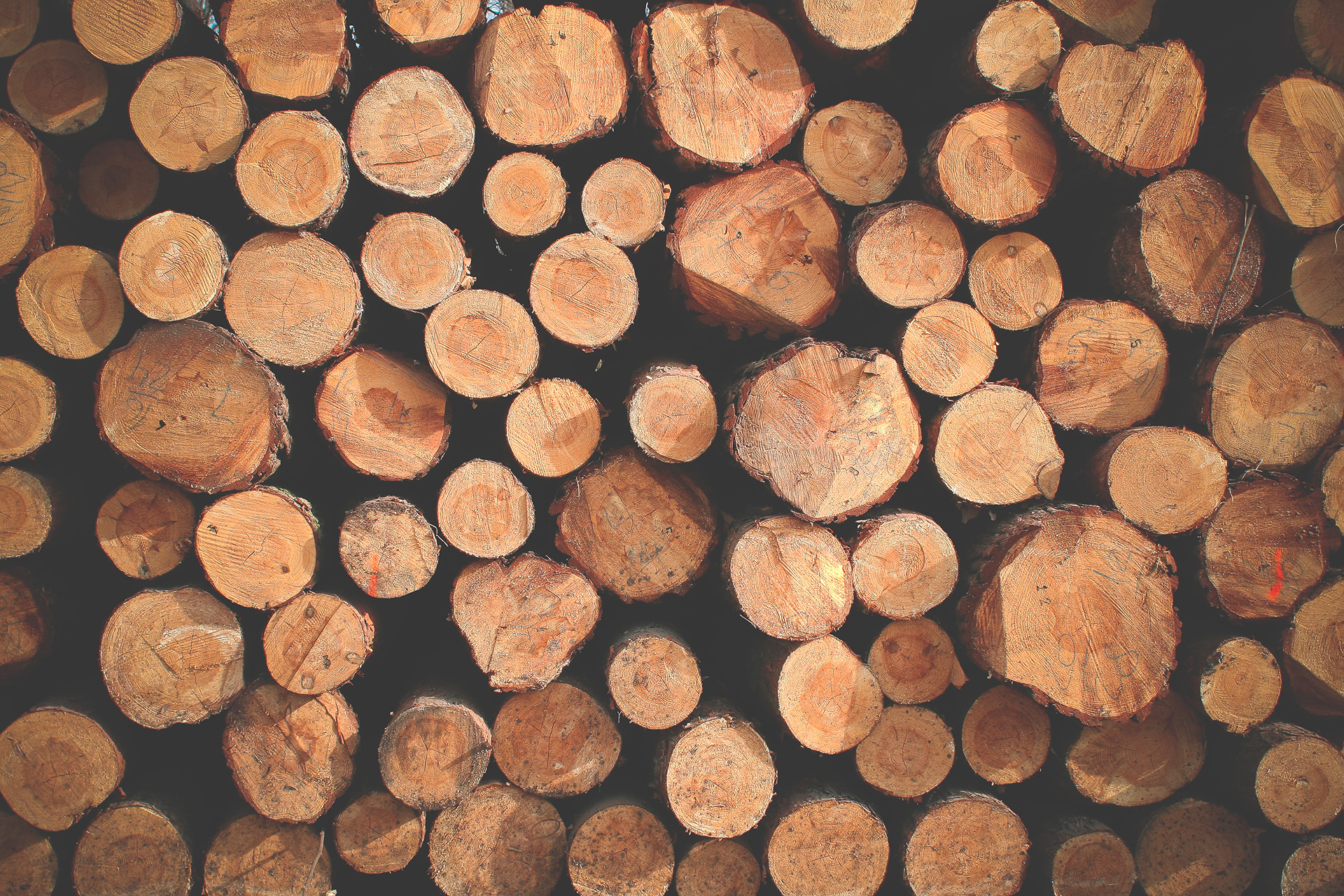 Preview for Stacked-wood-logs-collection-pattern-background-add5a