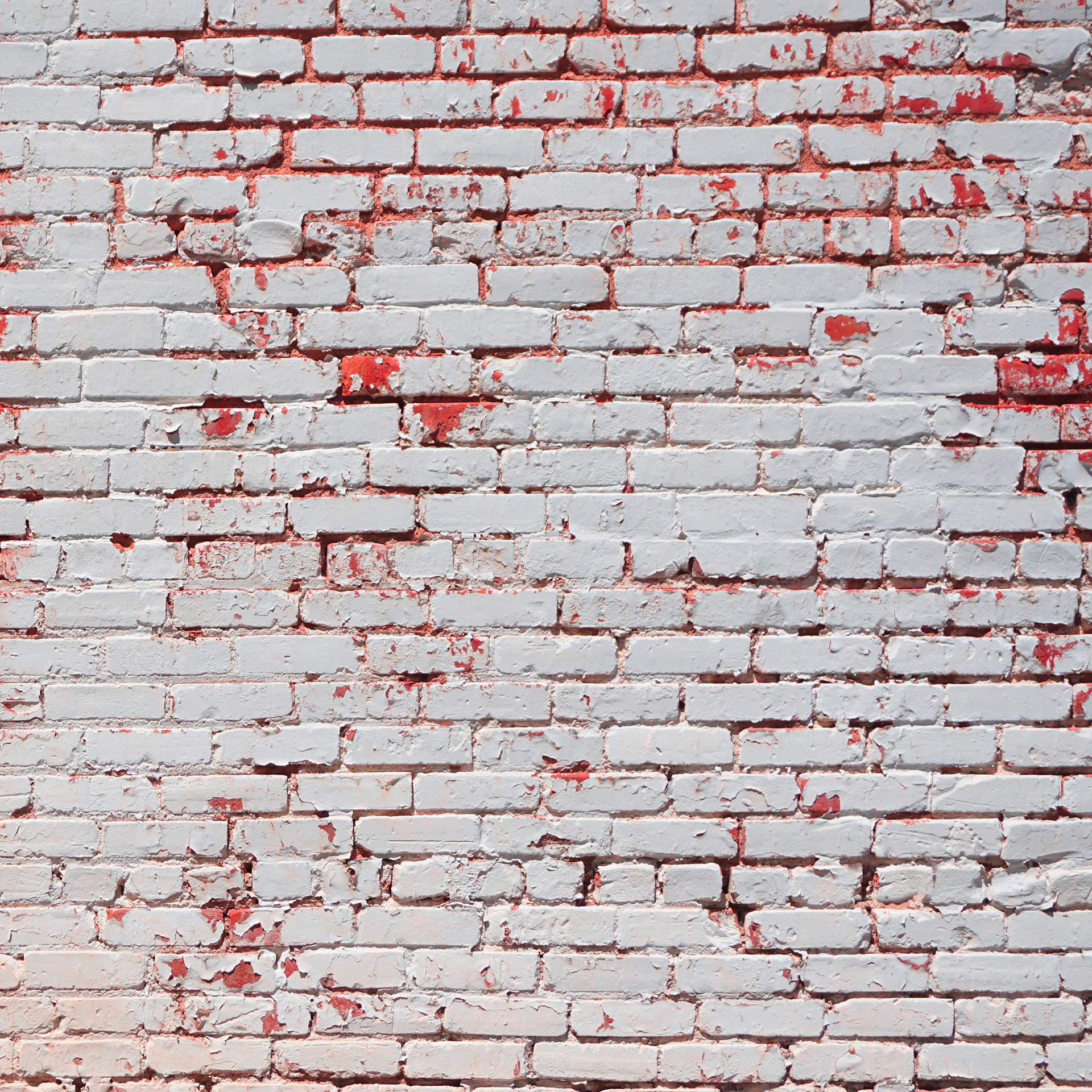 Preview for Distressed-white-brick-wall-texture-backgrounds-b3e66