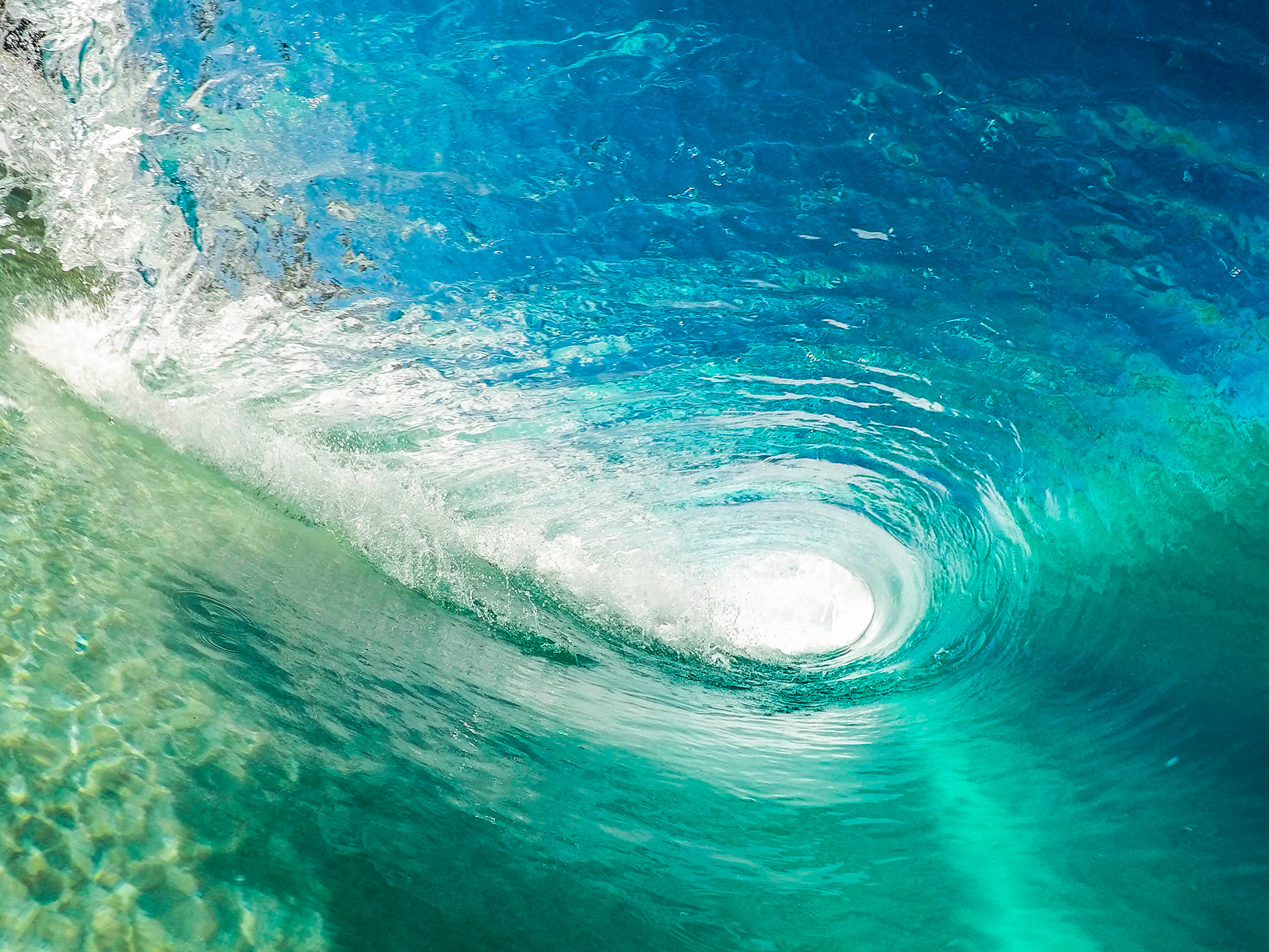 Preview for Ocean-whirlpool-aerial-view-animal-background-4281d