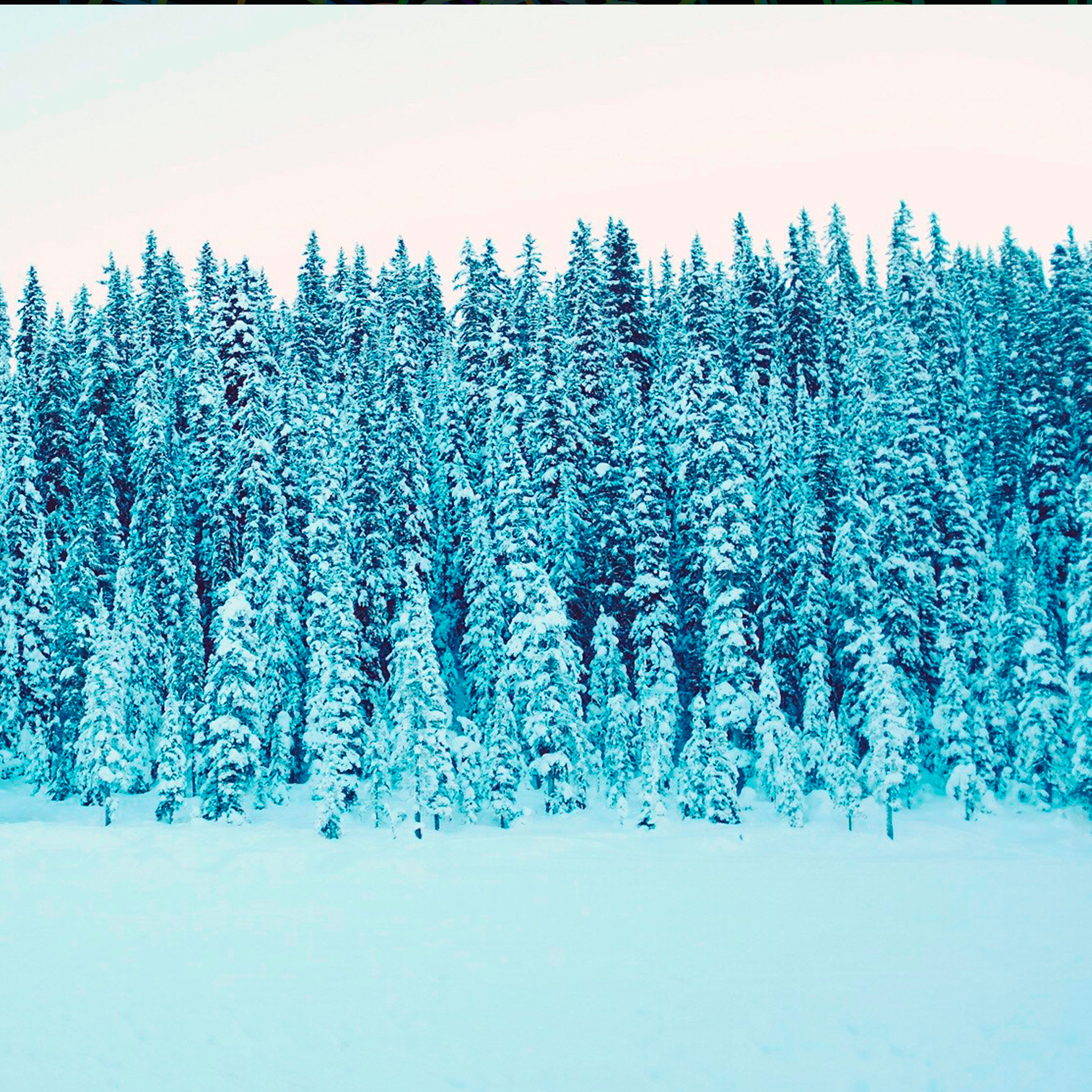 Preview for Serene-winter-forest-landscape-backgrounds-8a2fd