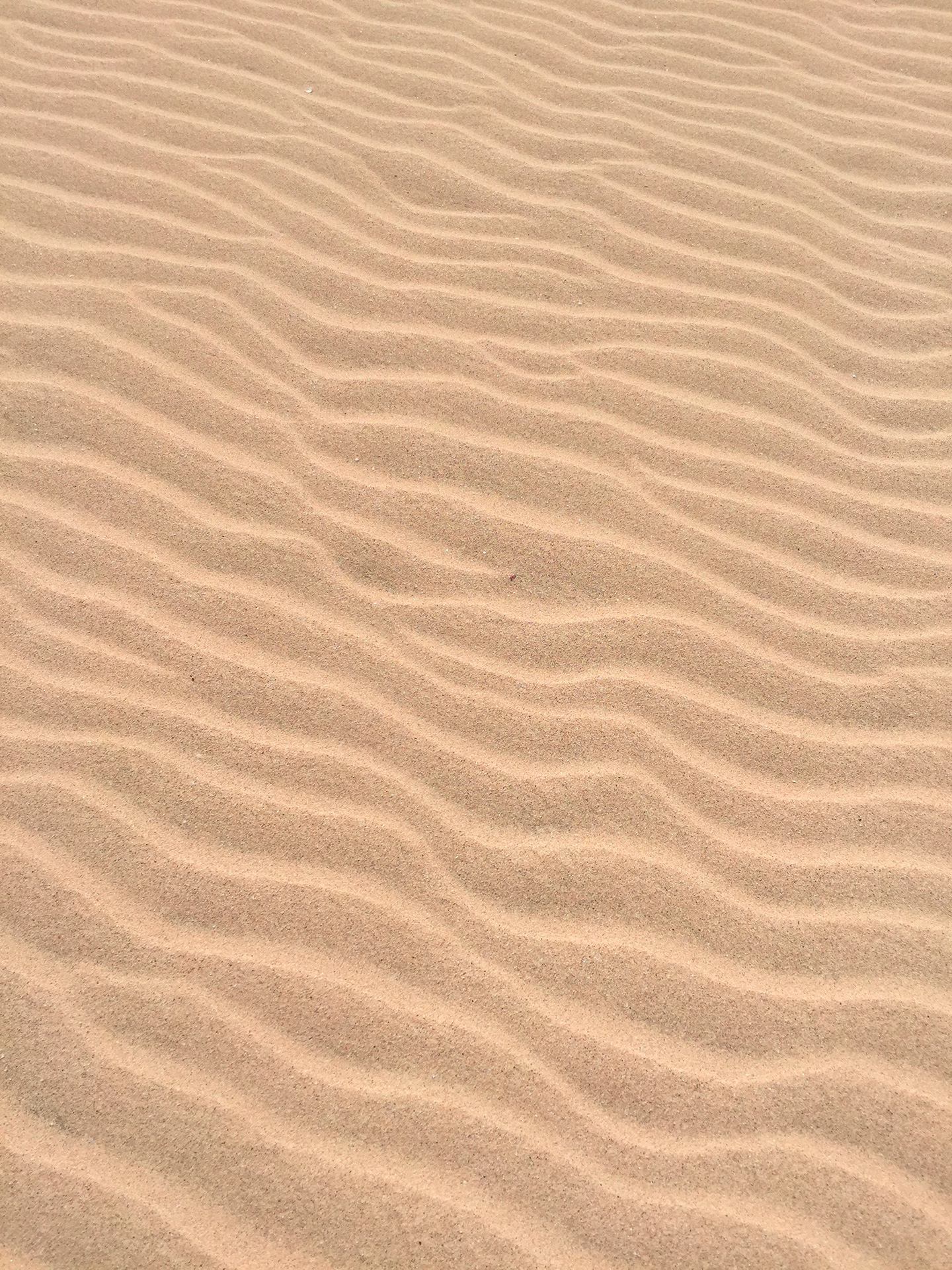 Preview for Desert-sand-dunes-pattern-backgrounds-3d26a