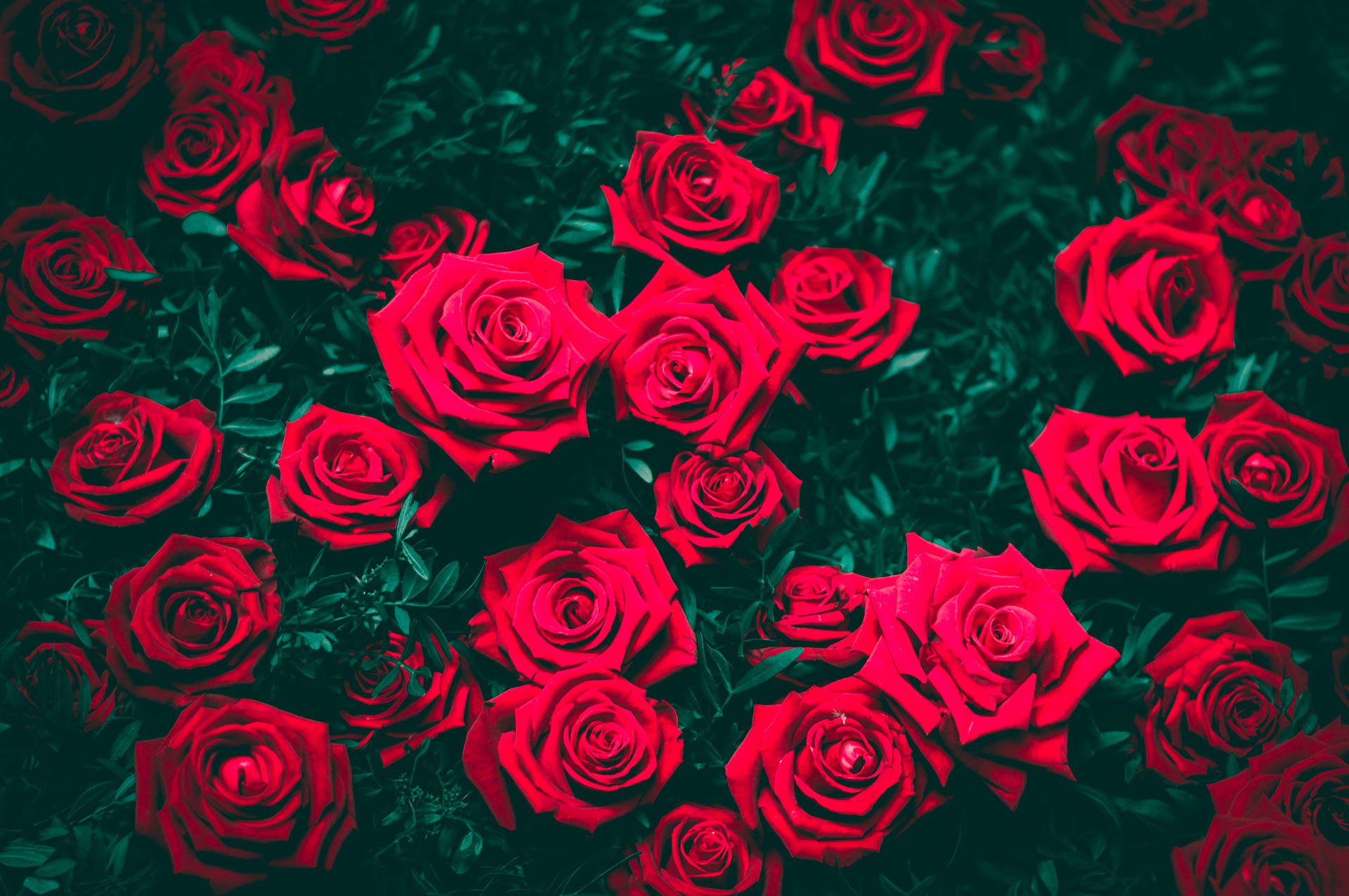 Preview for Red-roses-pattern-art-background-e2c6b