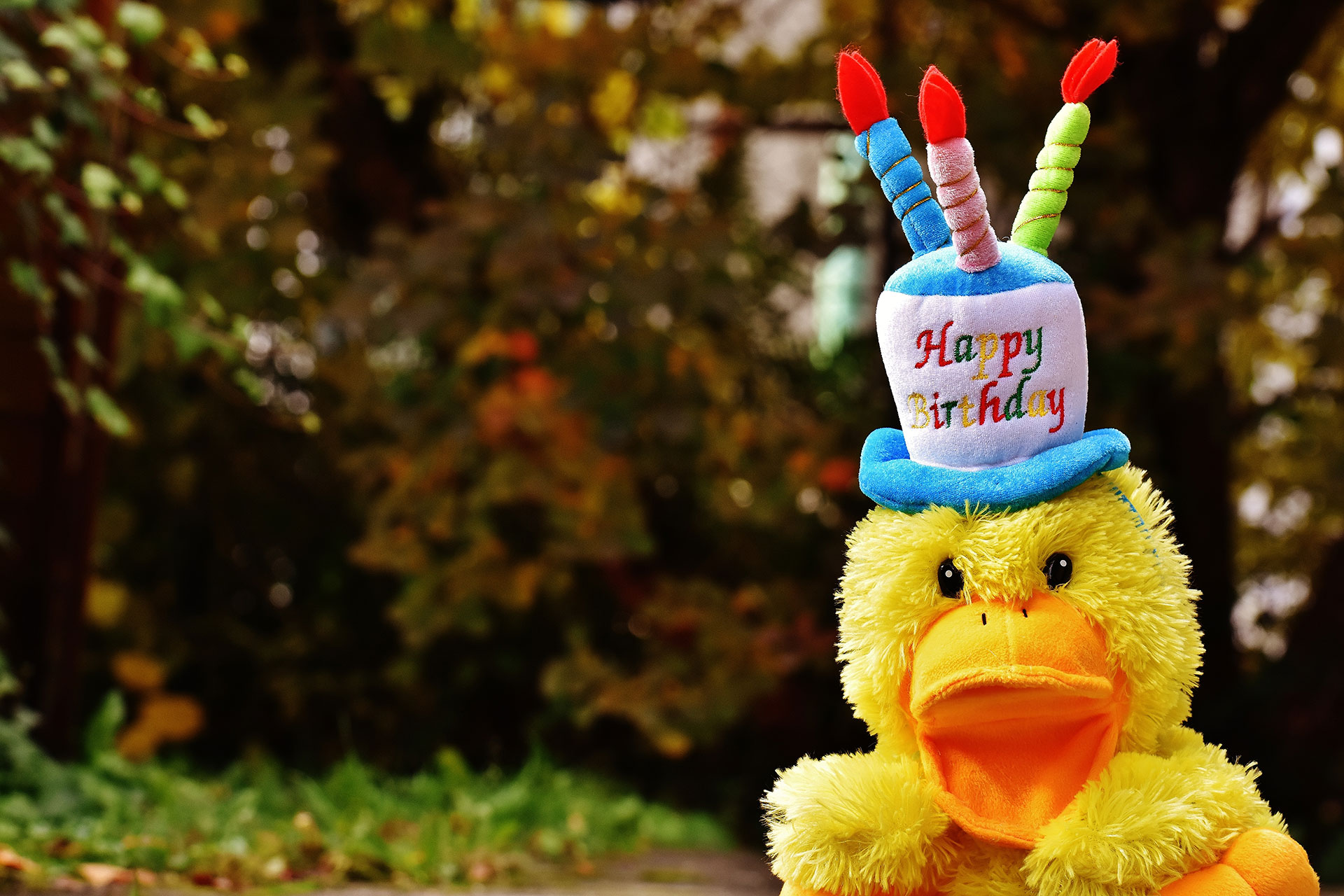 Preview for Yellow-duck-birthday-celebration-apparel-background-7bf86