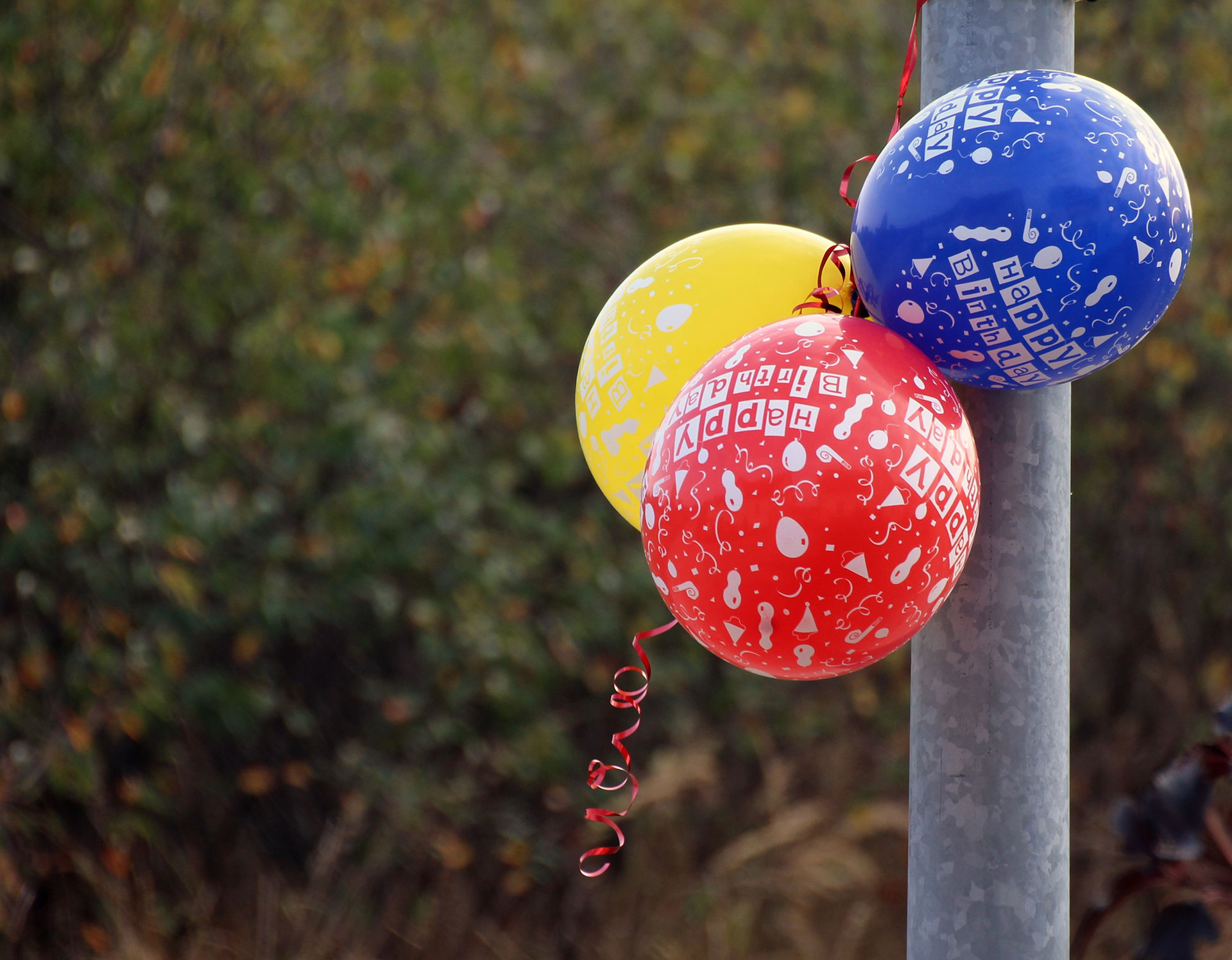 Preview for Colorful-balloons-metal-pole-background-34645