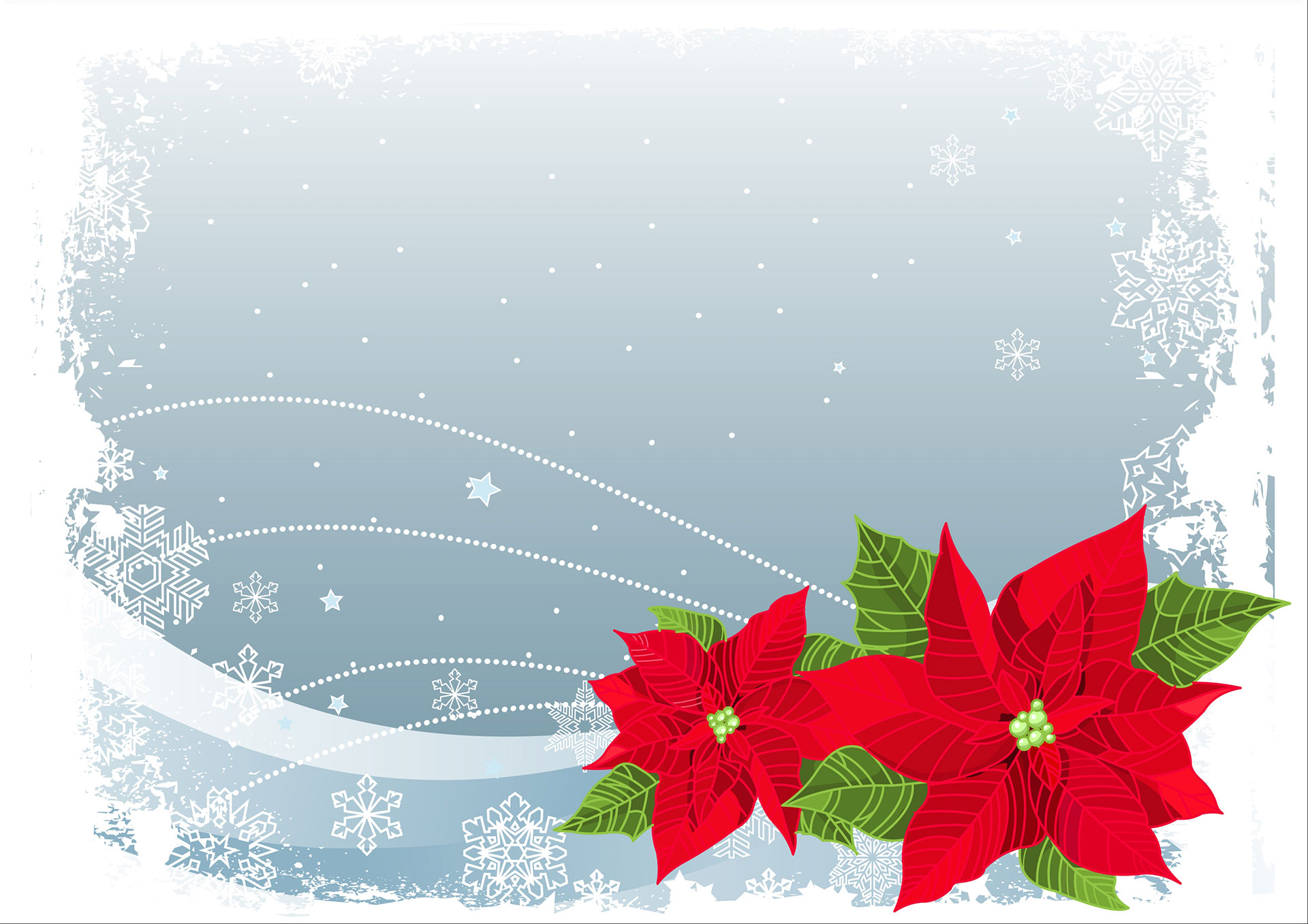 Preview for Winter-floral-design-christmas-background-7819b