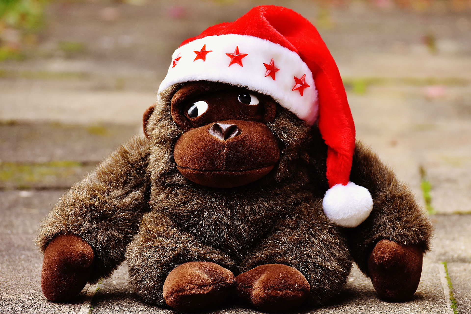 Preview for Christmas-gorilla-plush-toy-animal-background-7e7ae