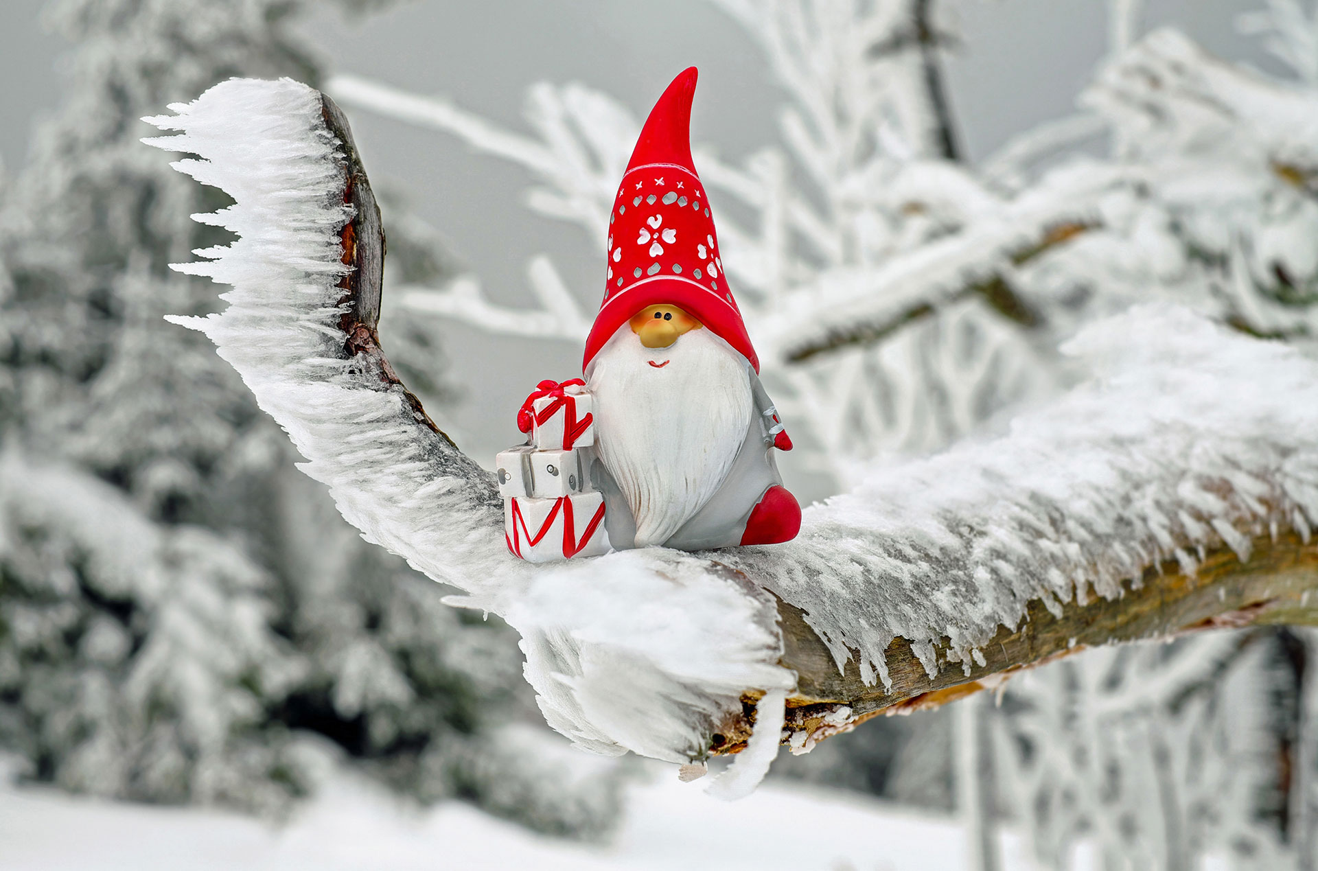 Preview for Winter-gnome-snowy-branch-christmas-background-c1e06