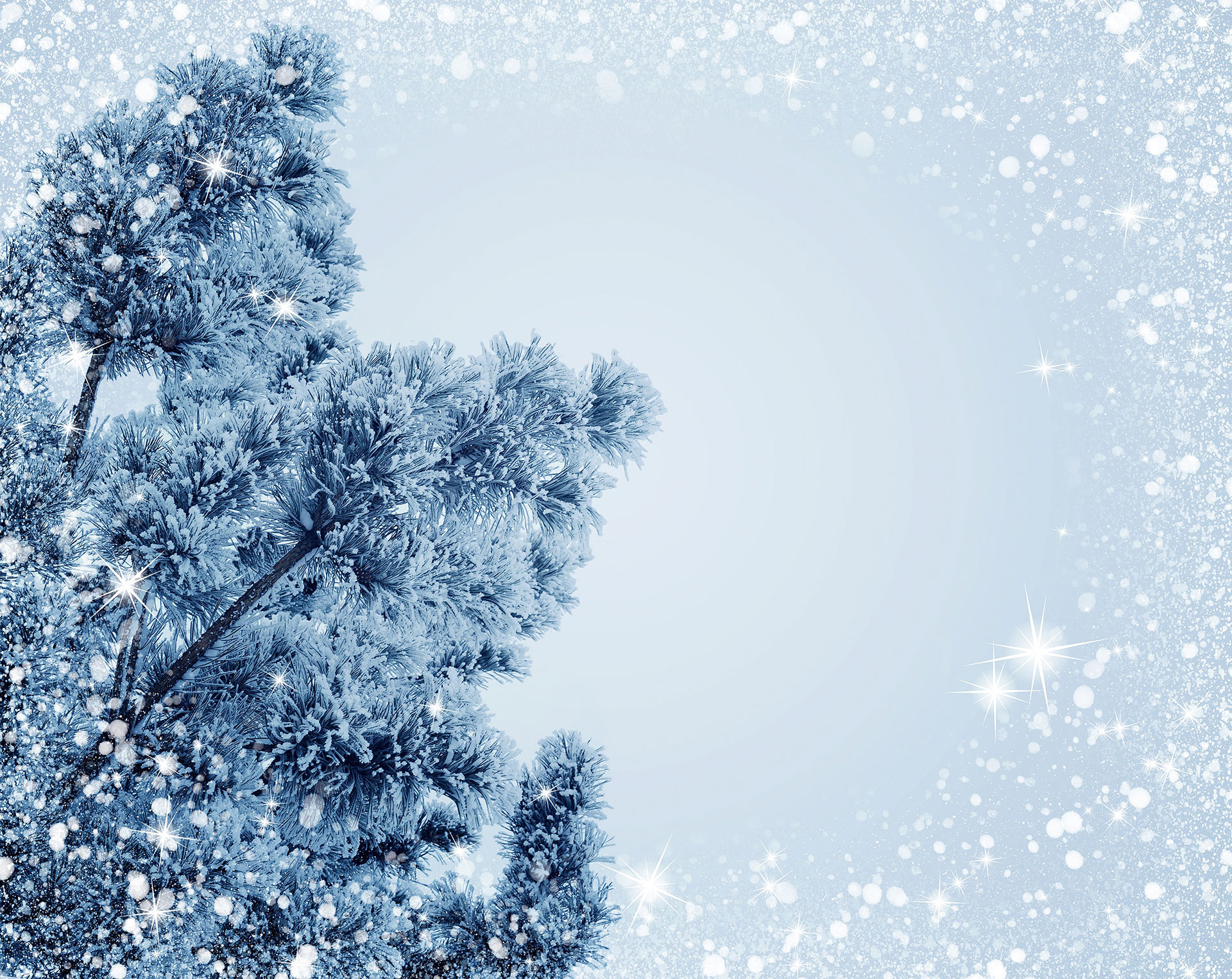 Preview for Snowy-pine-trees-winter-landscape-christmas-background-3b6ea