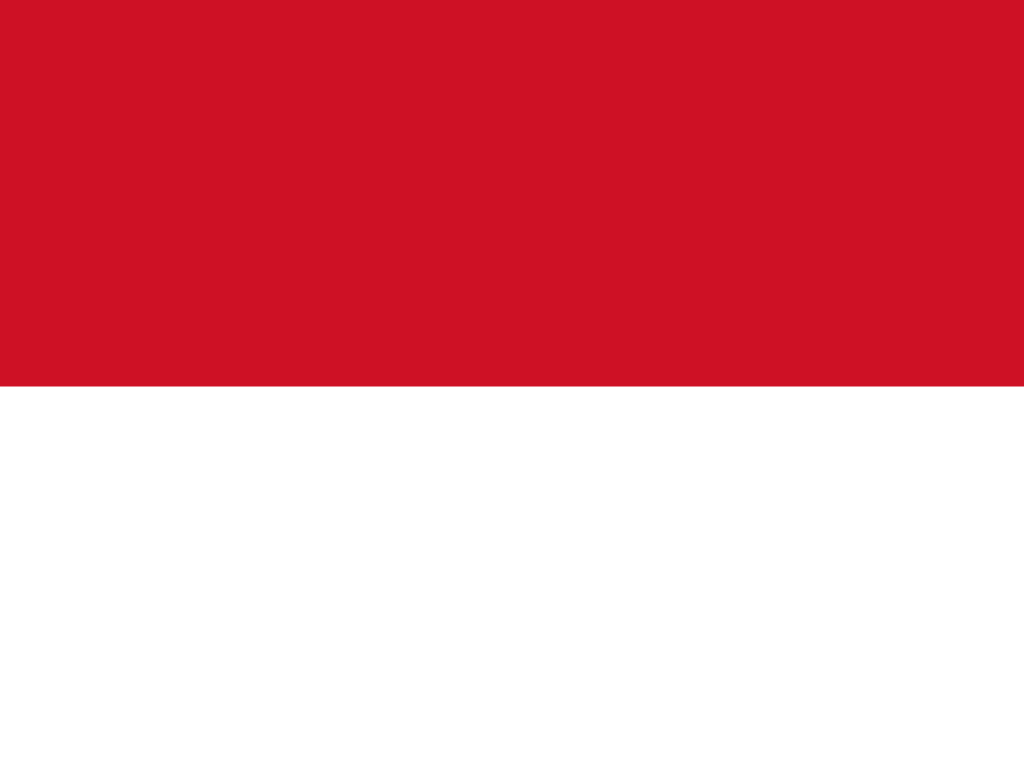 Preview for Indonesian-flag-design-first-aid-background-a8c91