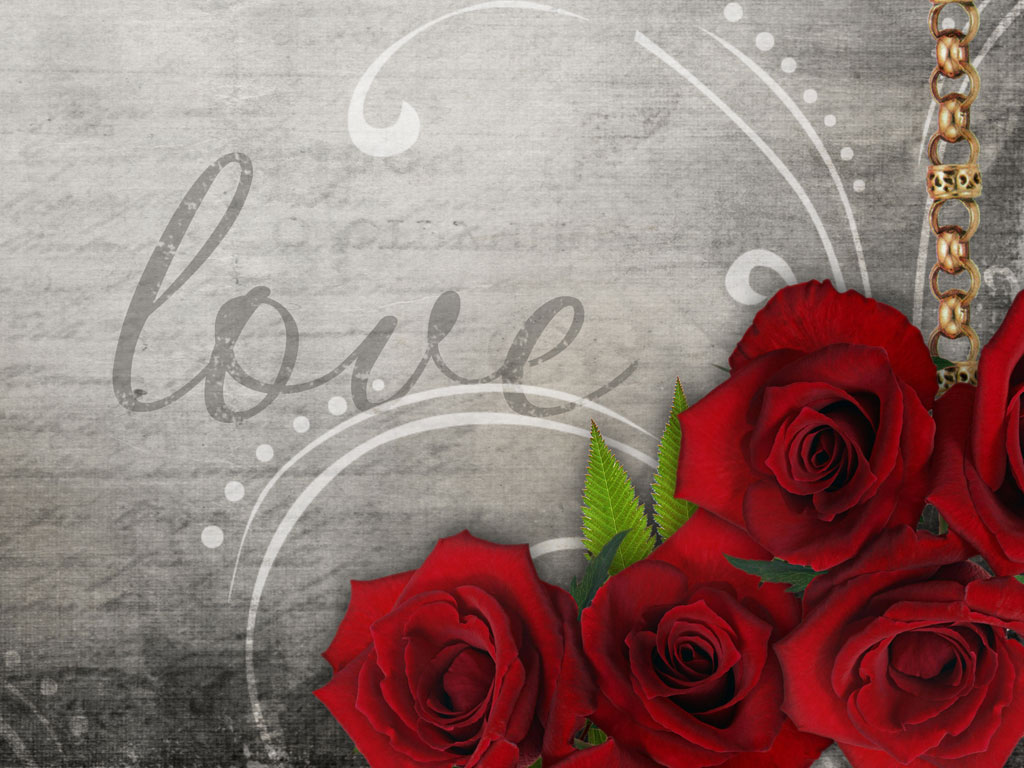 Preview for Red-roses-love-gray-background-27b0b