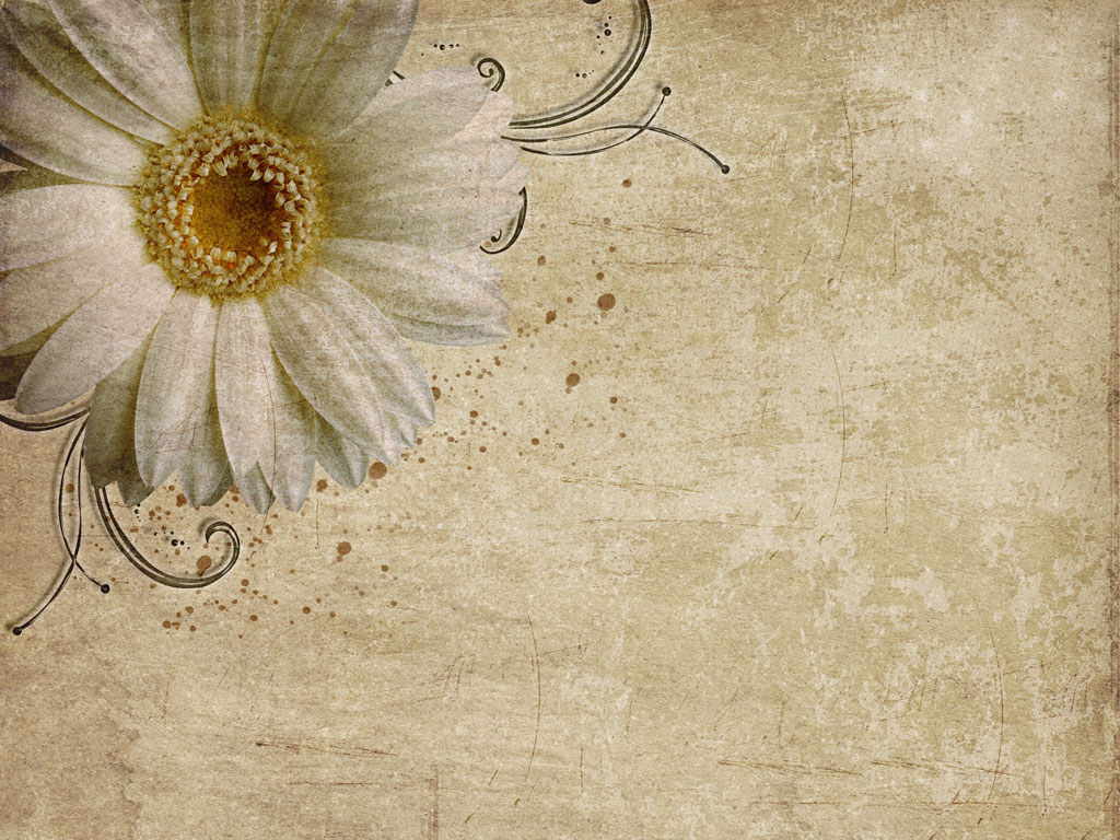 Preview for Vintage-floral-design-template-anemone-background-95d1c