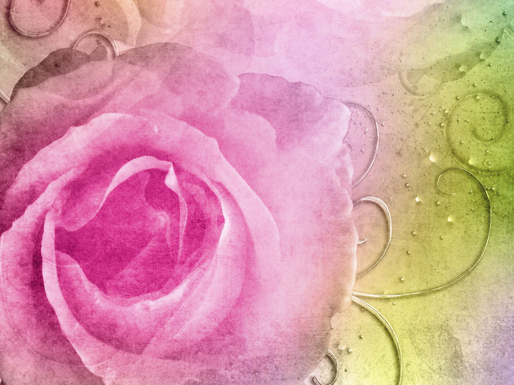 Preview for Watercolor-rose-art-blossom-background-5dd7b
