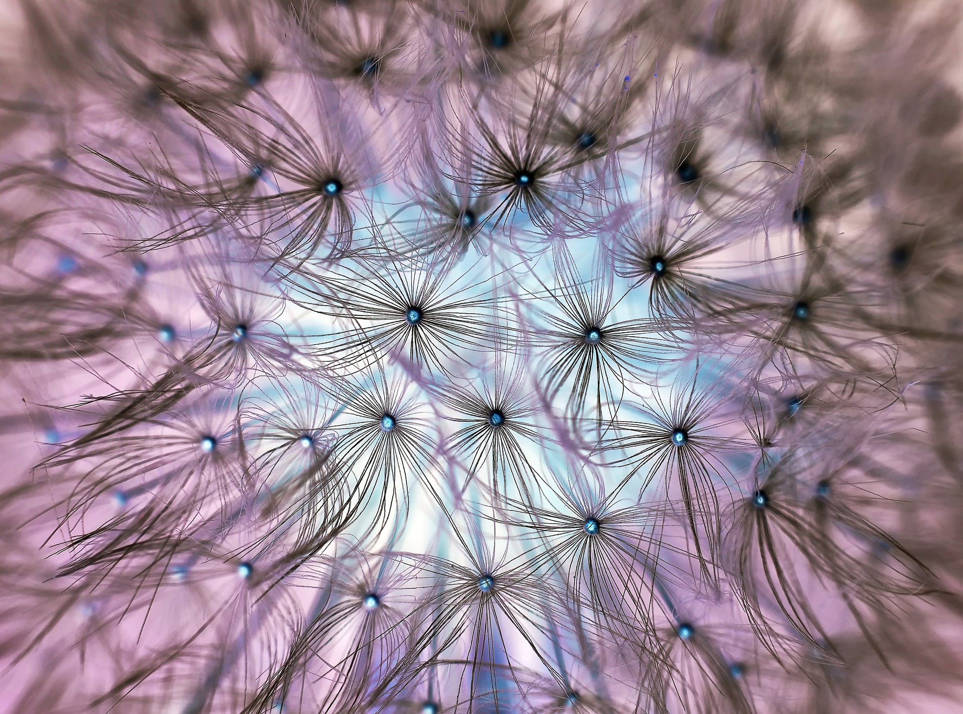 Preview for Abstract-network-visualization-blossom-background-dbf3a