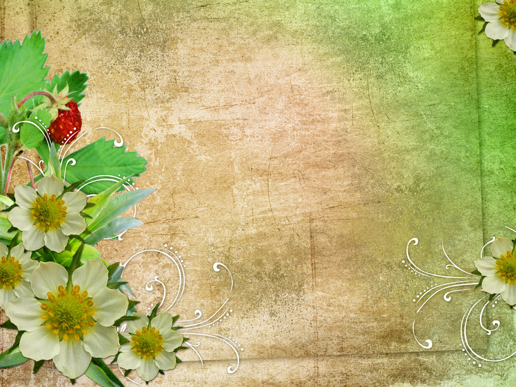 Preview for Floral-vintage-background-design-art-26c09