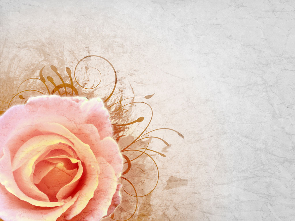 Preview for Pink-rose-floral-design-blossom-background-e816e