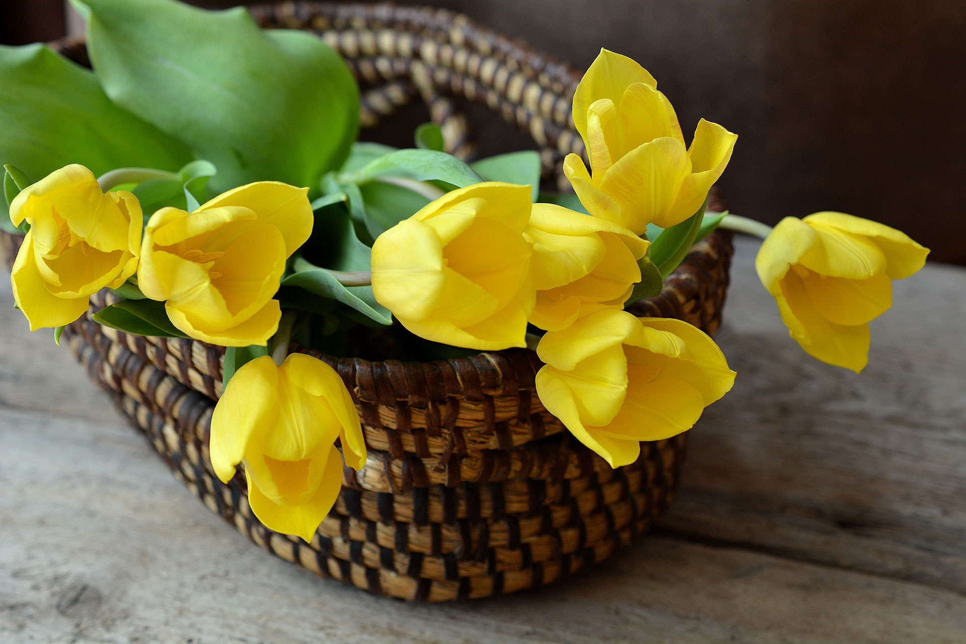 Preview for Yellow-tulips-wicker-basket-background-6d342