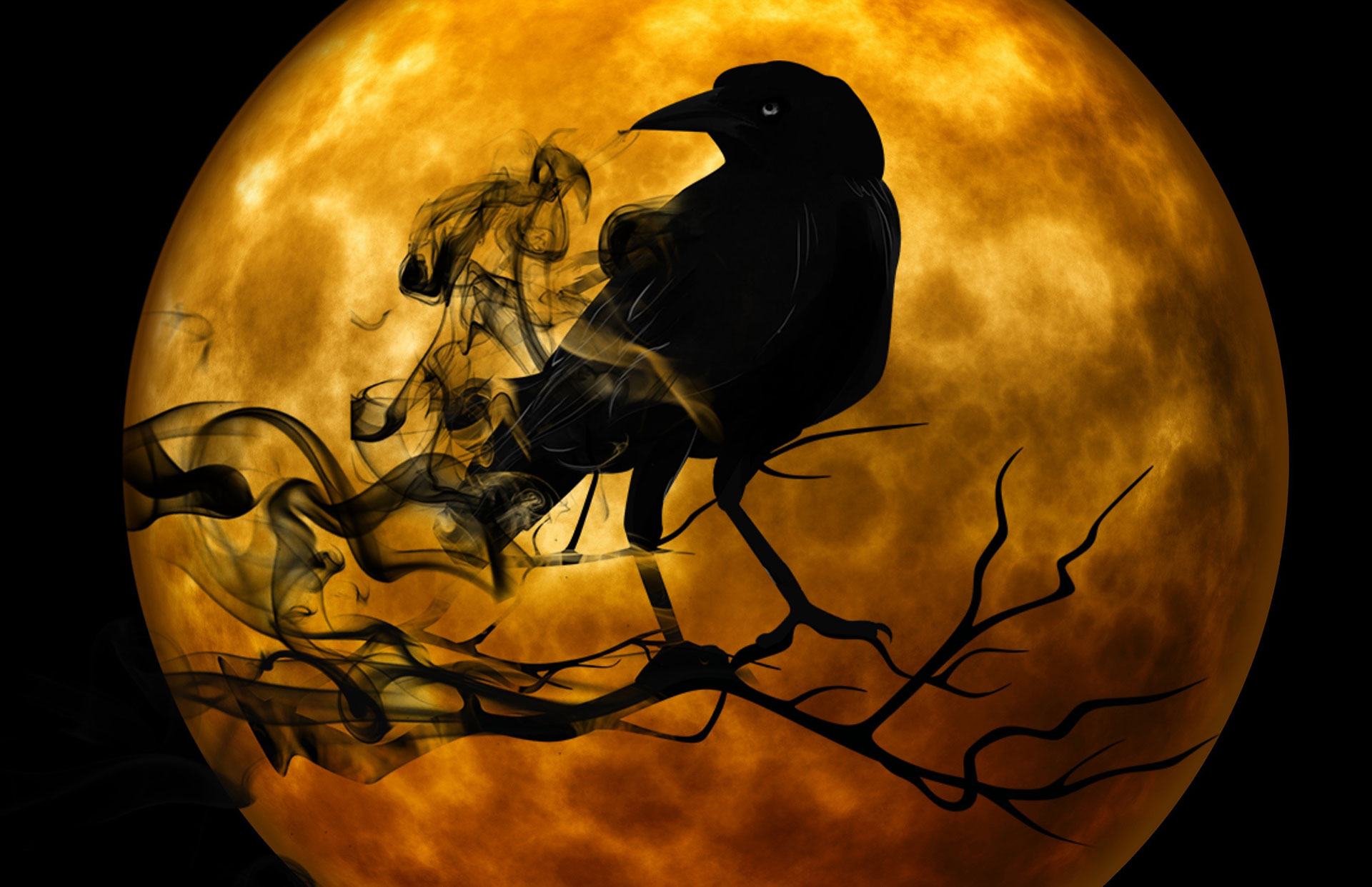 Preview for Crow-under-full-moon-art-background-bb943