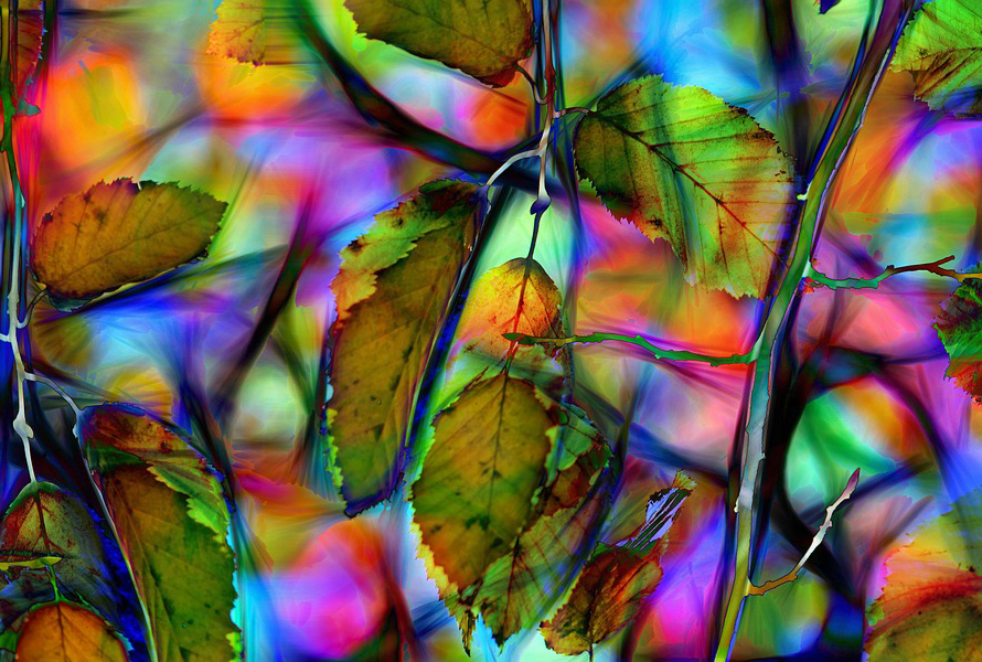 Preview for Vibrant-leaf-reflections-art-background-4e75c