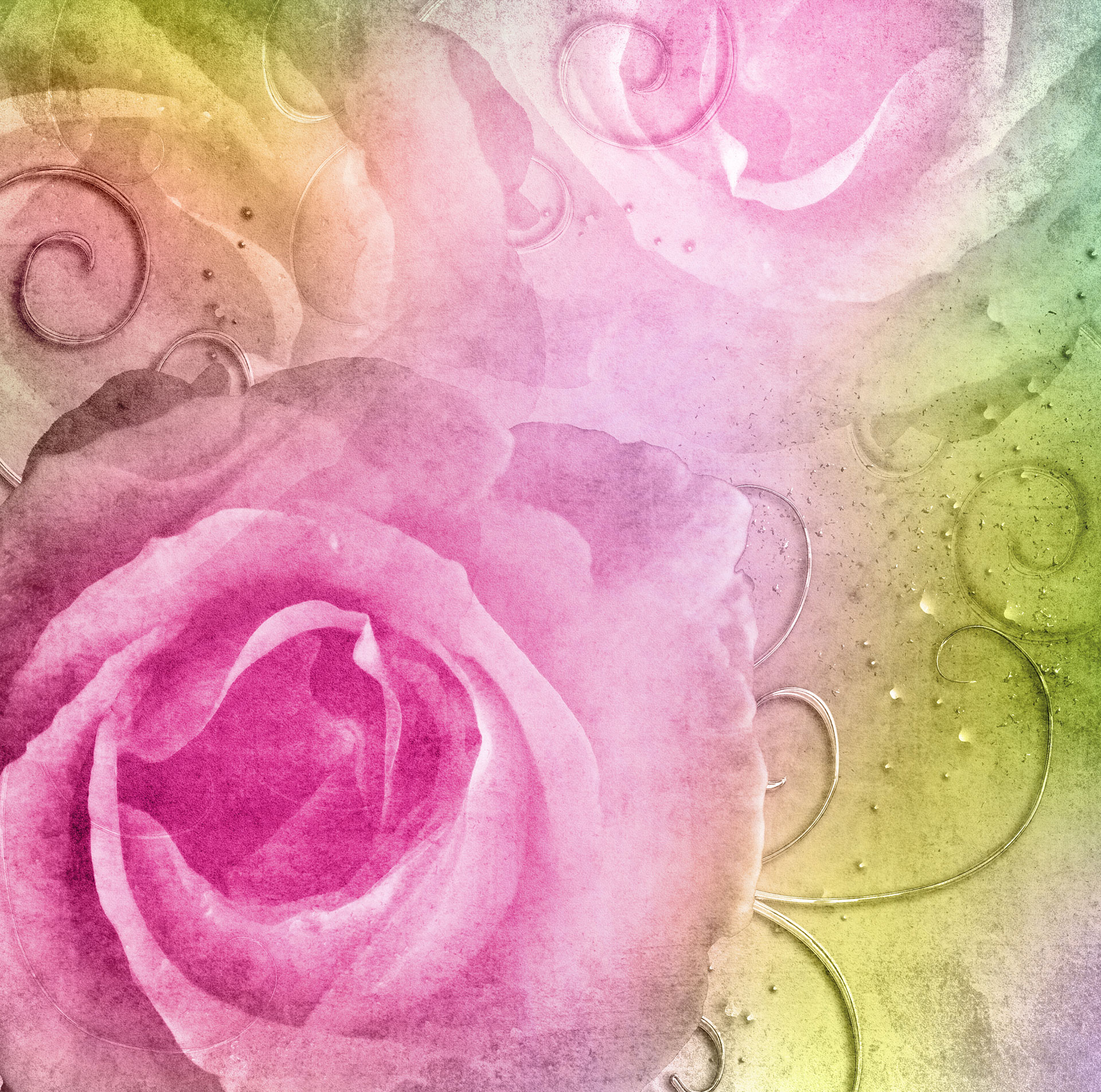 Preview for Pastel-rose-floral-background-blossom-89b23