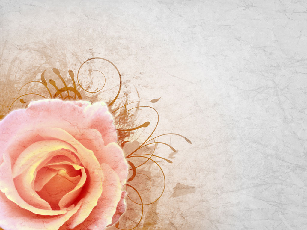 Preview for Pink-rose-floral-design-blossom-background-7af77