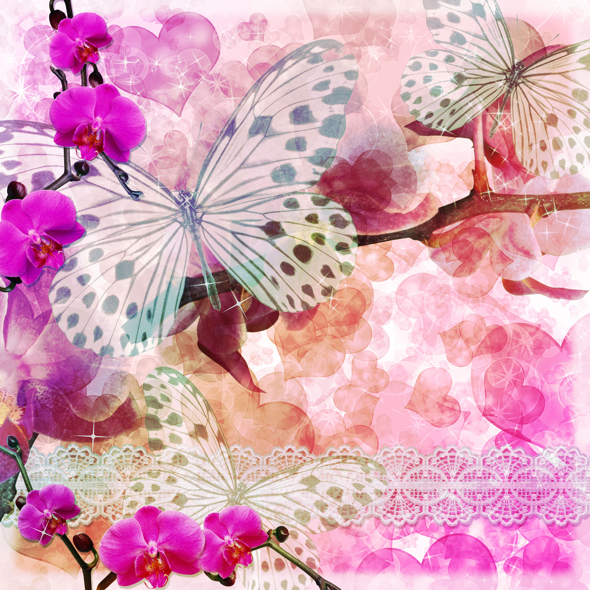 Preview for Butterflies-on-blossoms-background-2840c