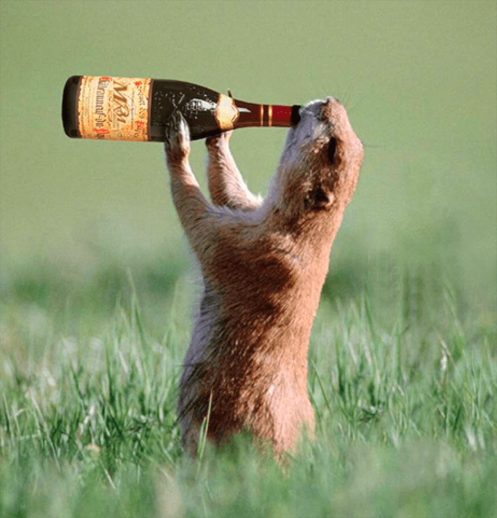 Preview for Hand-emerging-from-grass-holding-bottle-alcohol-background-71a71